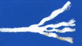 20240909160040 20240909160040